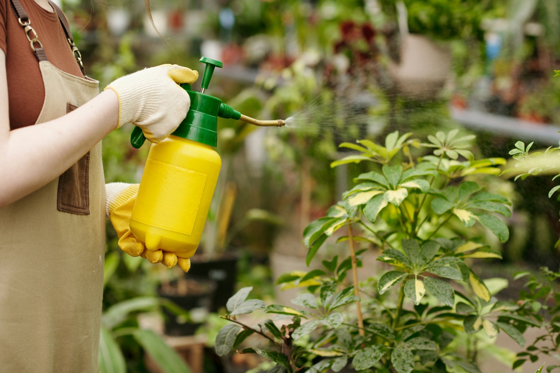 Roundup being used in a field
